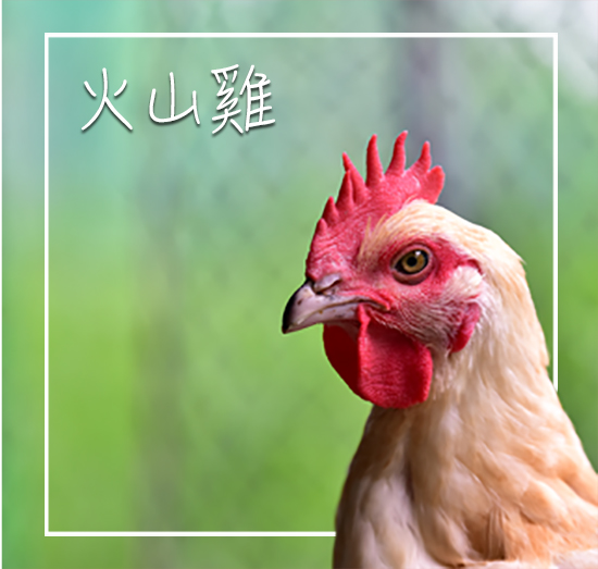 #放牧土雞 #蘇蔡農場